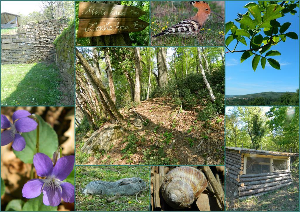 The Hug Of Nature Dekani Zewnętrze zdjęcie